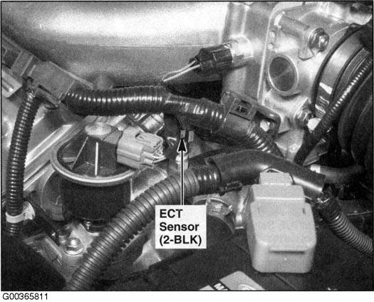 G00365811