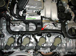 G00454828