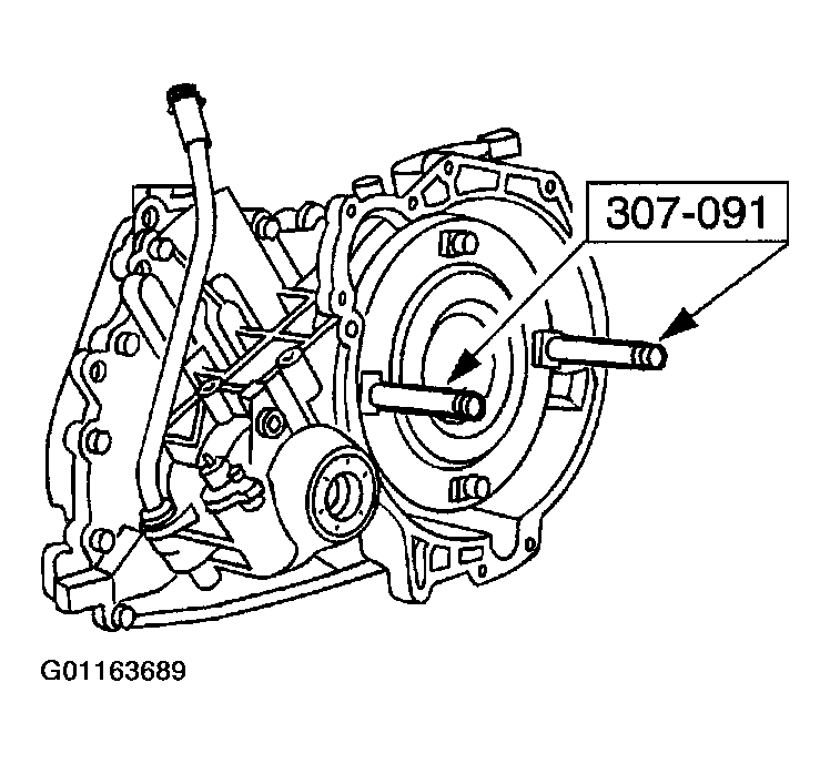 G01163689