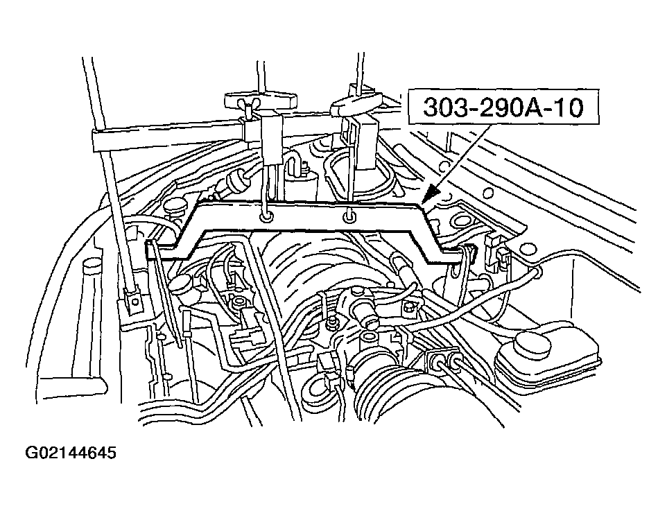G02144645