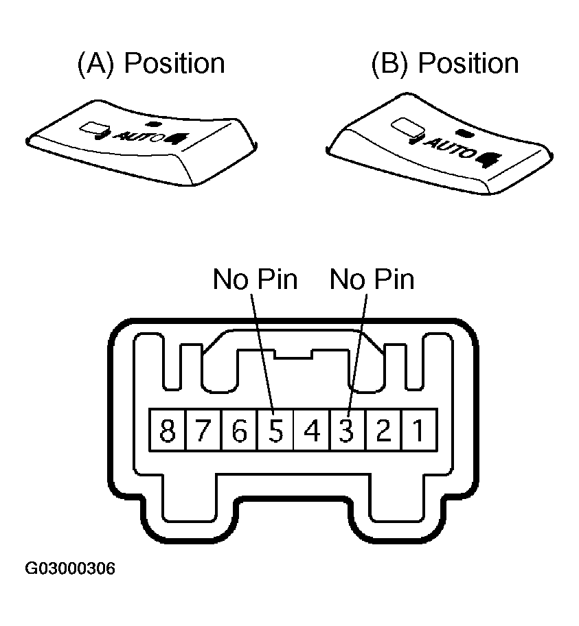 G03000306