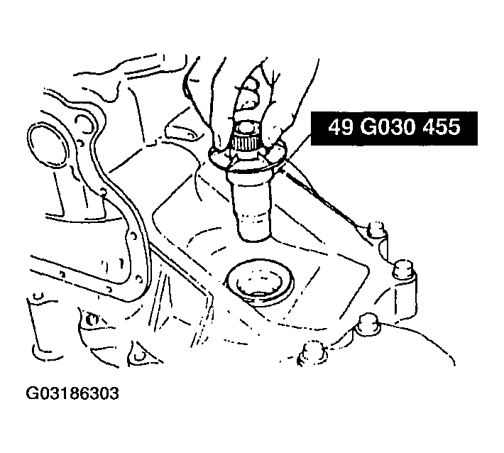 G03186303