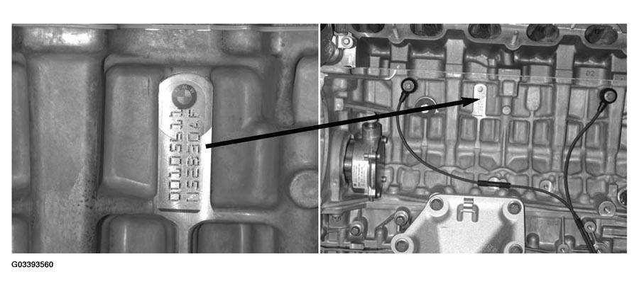 G03393560