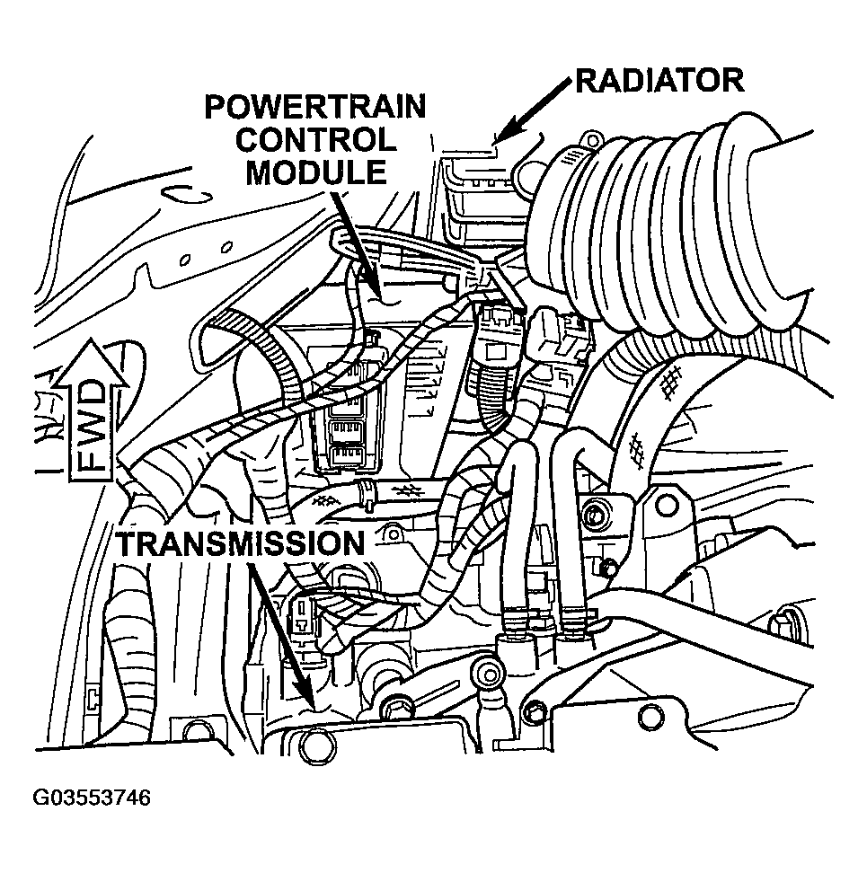 G03553746