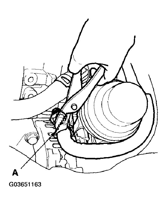 G03651163