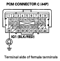 G06429351