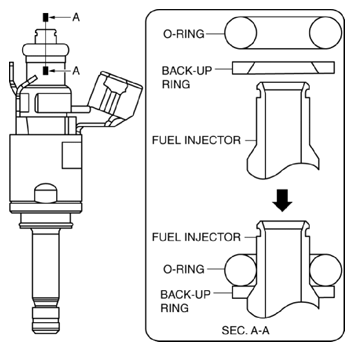 G10946884