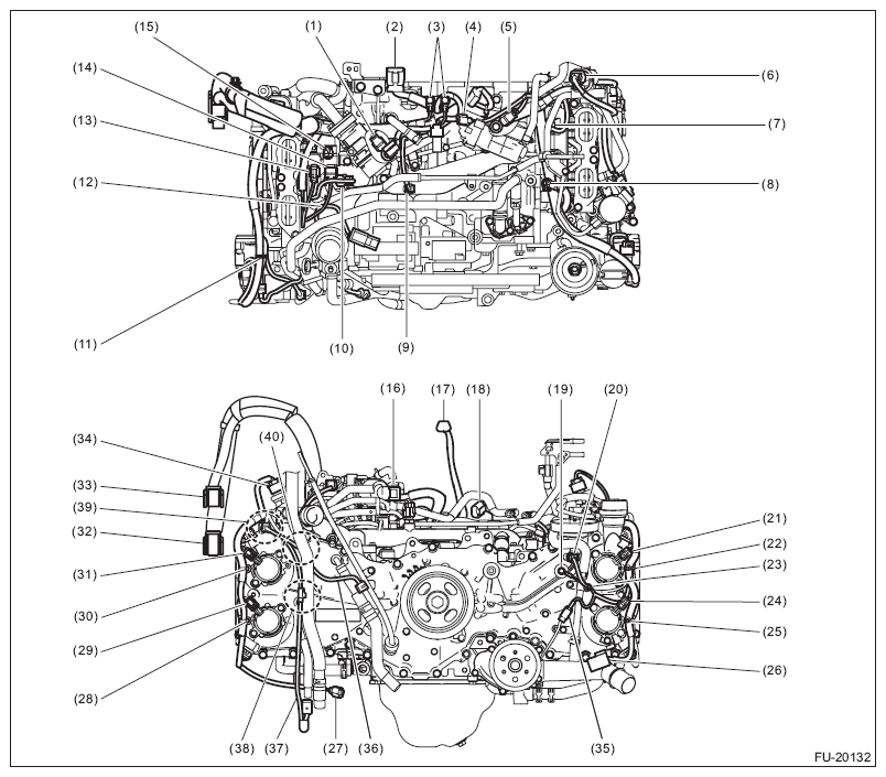 G11574596