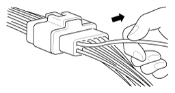 G11794794