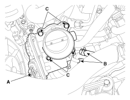 G11796904