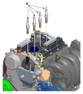 G11865440