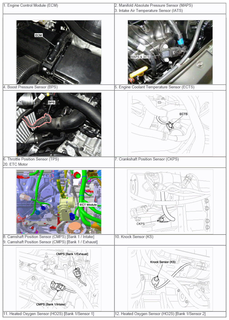 G12039341