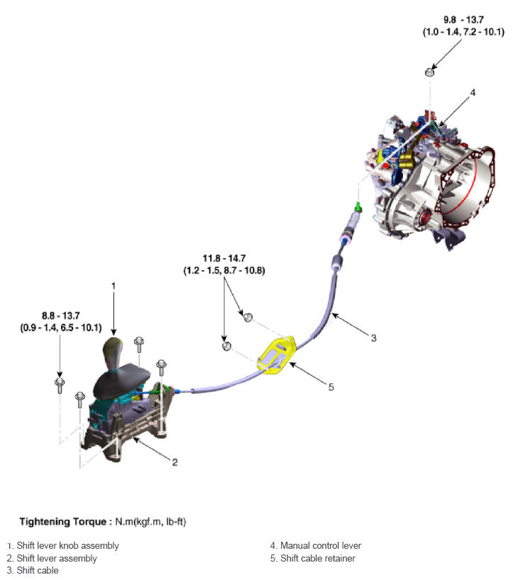 G13055973