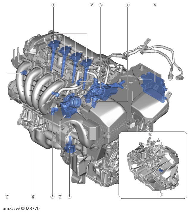 G13557609