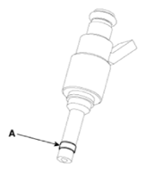 G15591509